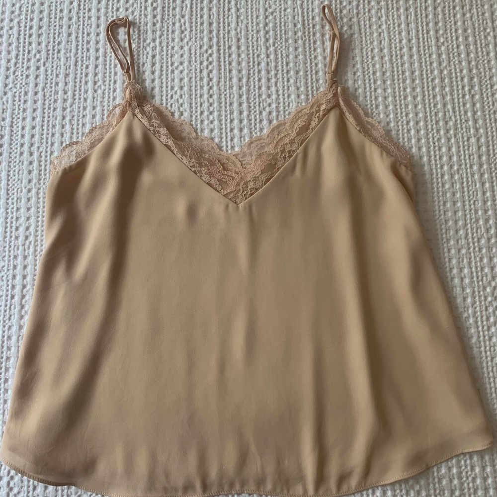 Aritzia Babaton Lace Camisole in Blush